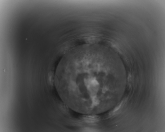 X0000089690671200706281417