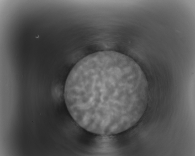 X0000089690672200706281417