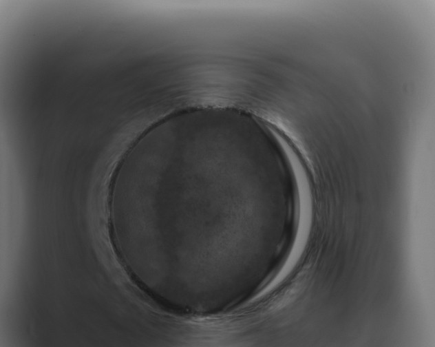 X0000089690673200706281416