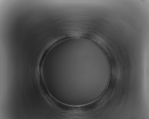 X0000089690674200706281416