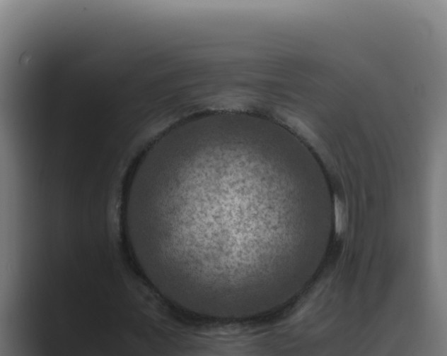 X0000089690675200706281416