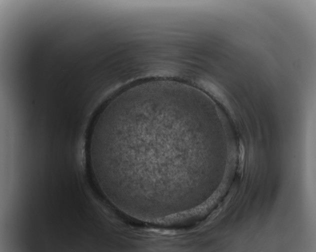 X0000089690676200706281416