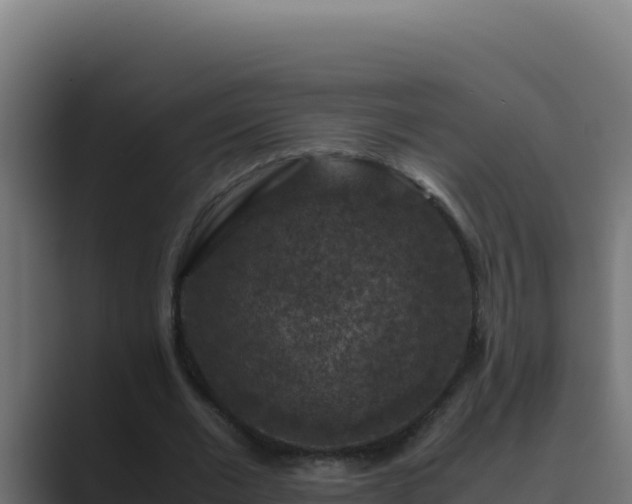 X0000089690677200706281416