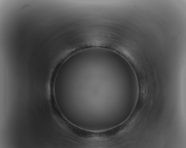 X0000089690678200706281416