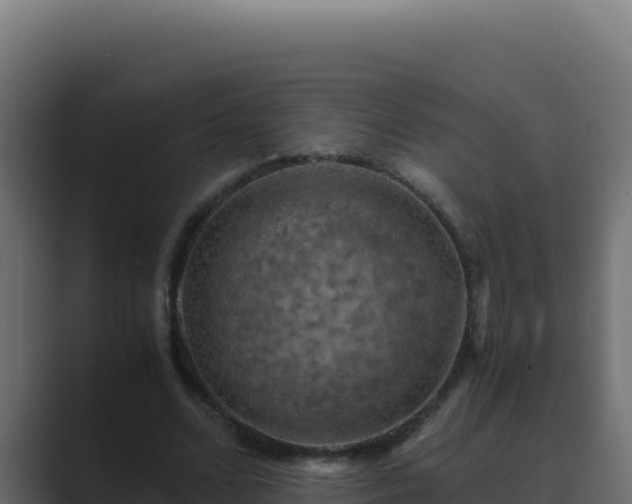 X0000089690680200706281416