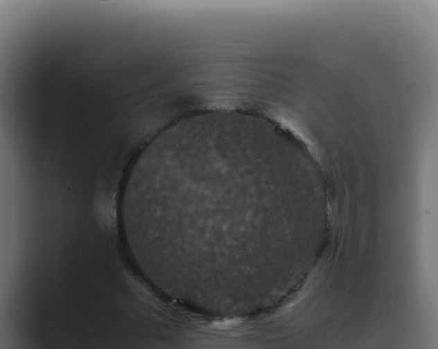 X0000089690681200706281416