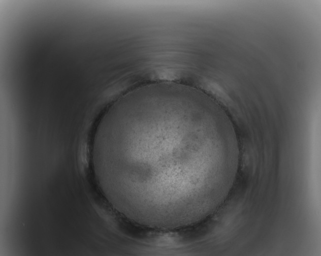 X0000089690683200706281416