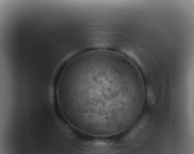 X0000089690684200706281416