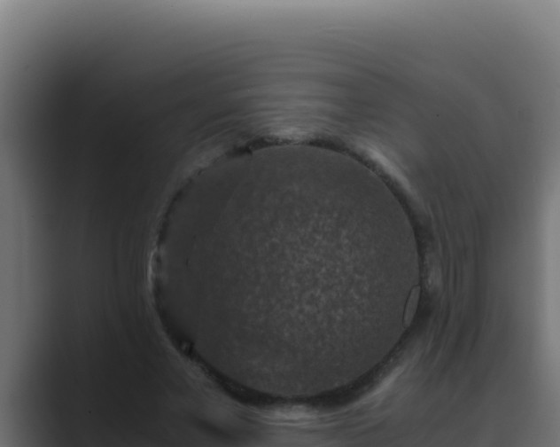 X0000089690685200706281416