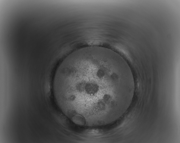 X0000089690687200706281416