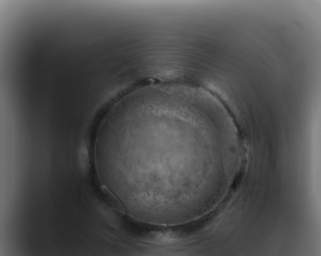 X0000089690688200706281416