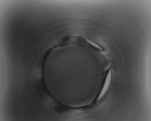 X0000089690689200706281416