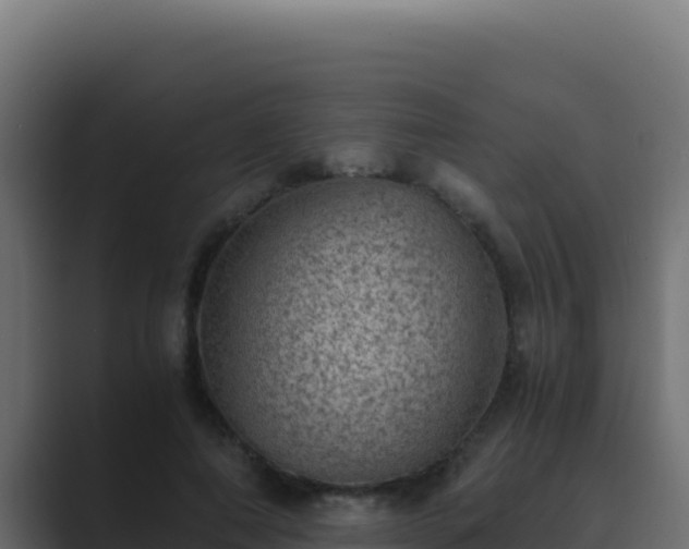 X0000089690690200706281416