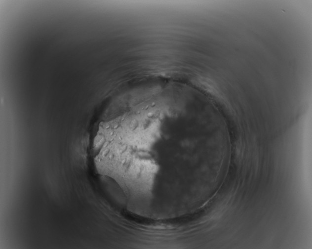 X0000089690691200706281416