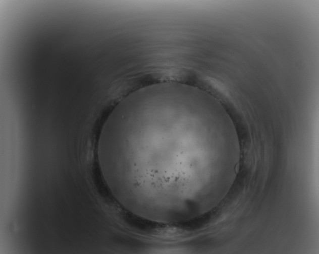 X0000089690695200706281416