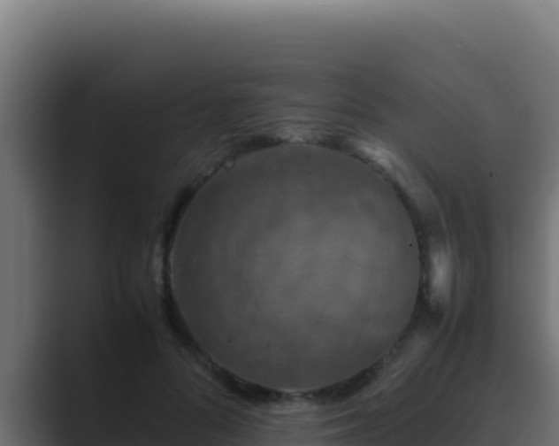 X0000089690696200706281416