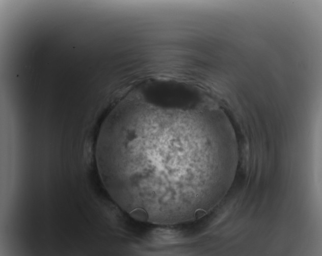 X0000089690699200706281416