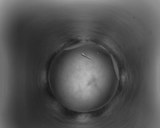 X0000089690700200706281416