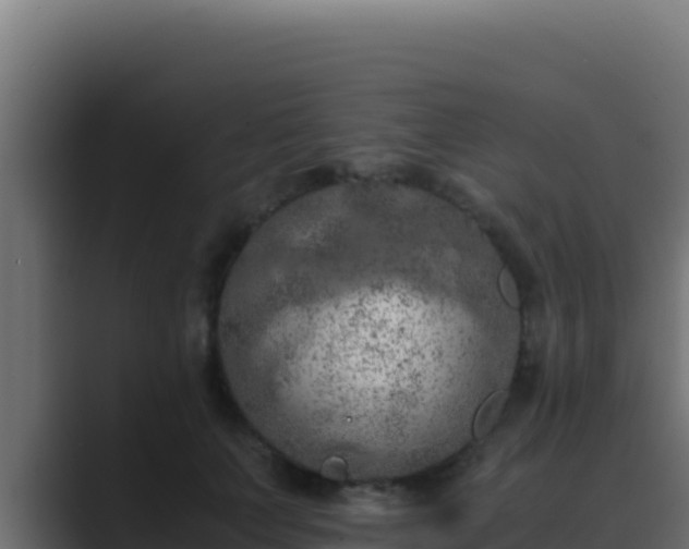 X0000089690703200706281416