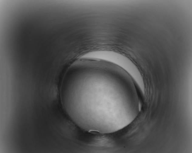 X0000089690704200706281416