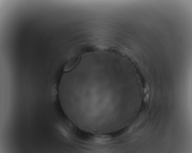 X0000089690707200706281416