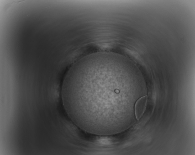 X0000089690710200706281416