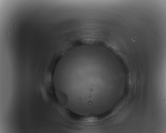 X0000089690711200706281416