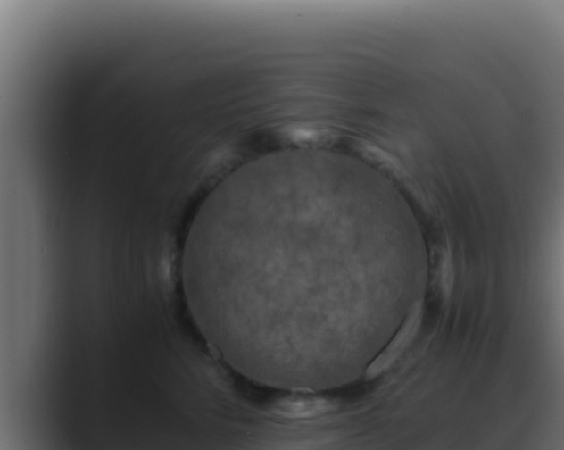 X0000089690712200706281416