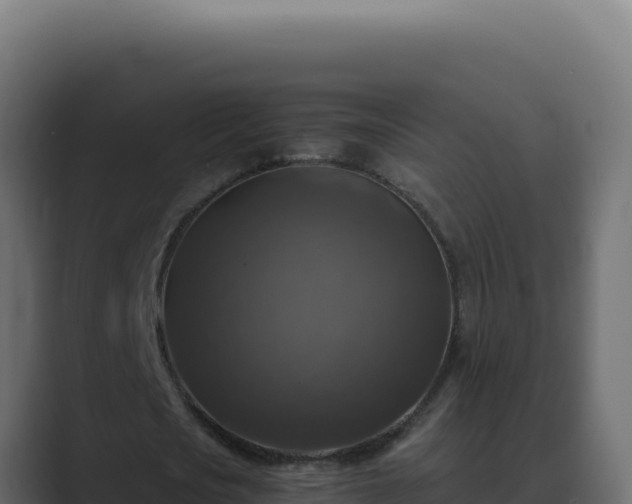 X0000089690721200706281415