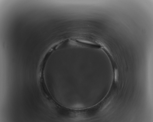 X0000089690723200706281415