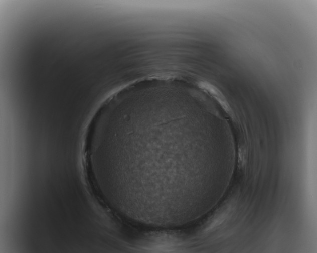 X0000089690724200706281415