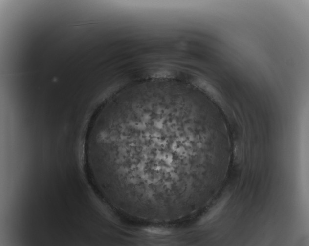 X0000089690725200706281415