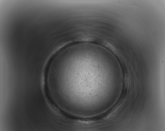 X0000089690726200706281415