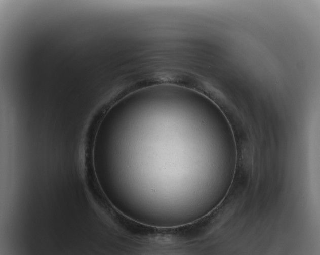 X0000089690730200706281415