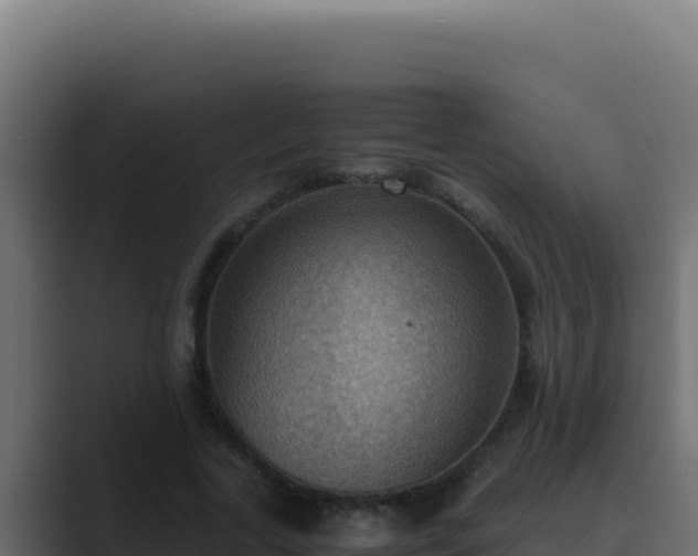 X0000089690731200706281415