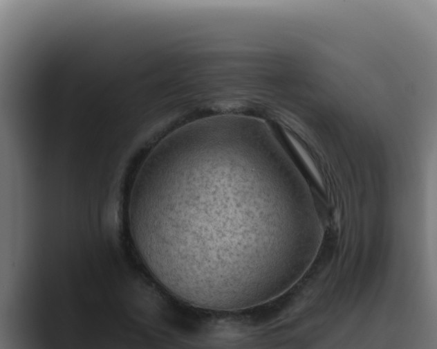 X0000089690732200706281415