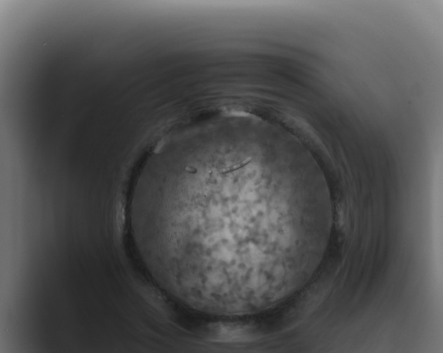 X0000089690733200706281415