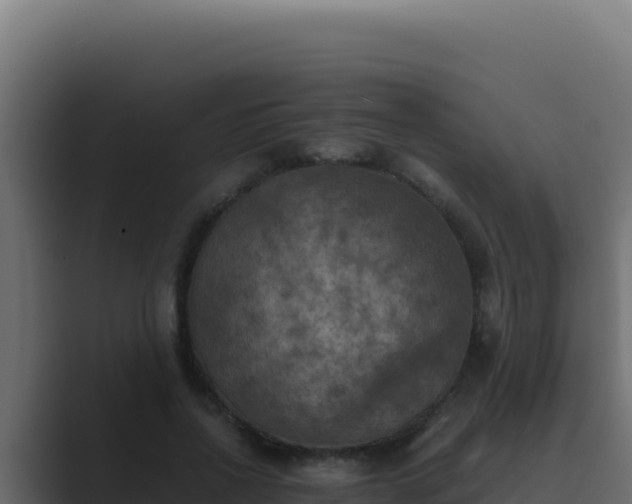 X0000089690734200706281415