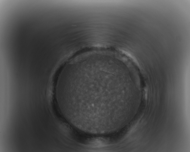 X0000089690736200706281415