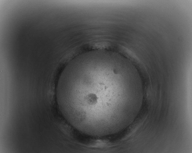 X0000089690737200706281415