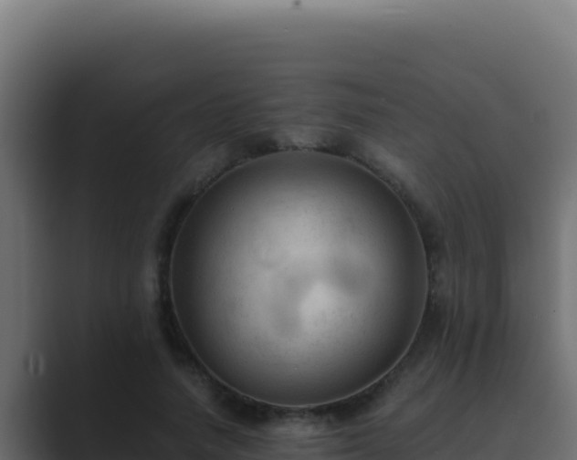 X0000089690738200706281415