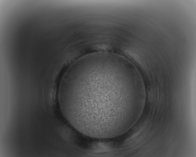 X0000089690739200706281415