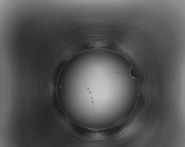 X0000089690741200706281415