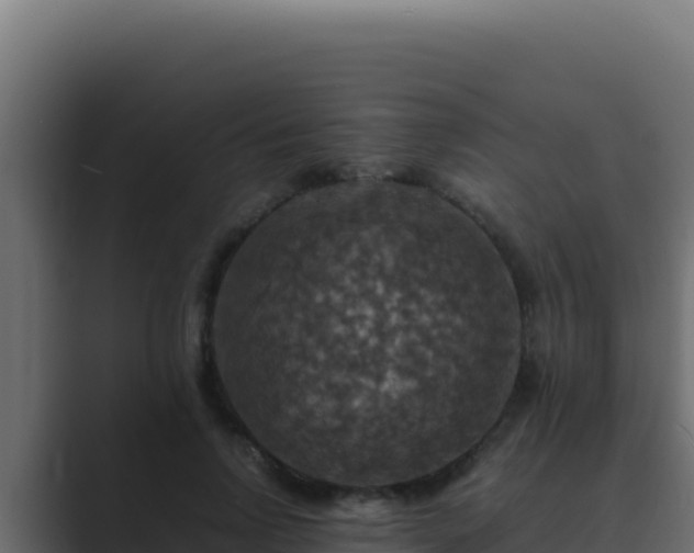 X0000089690742200706281415