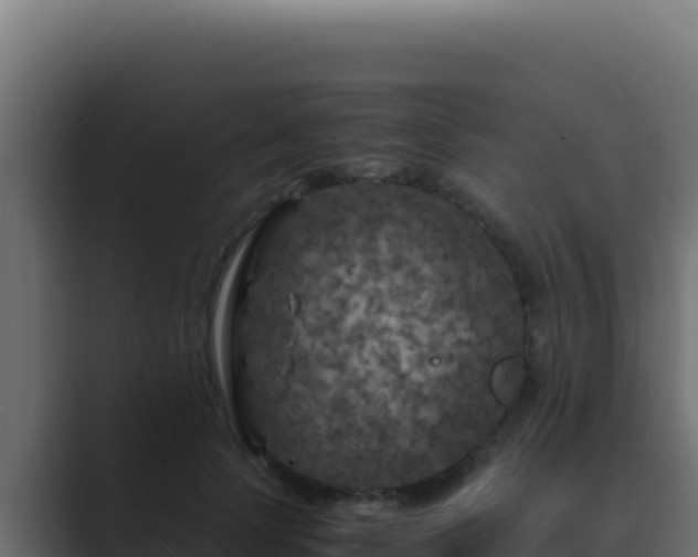 X0000089690745200706281415