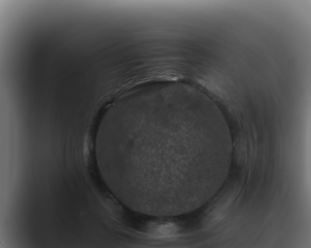 X0000089690747200706281415