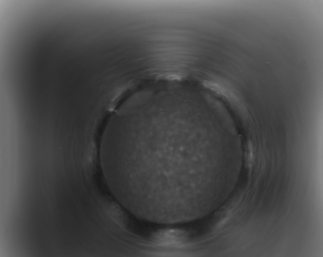 X0000089690748200706281415