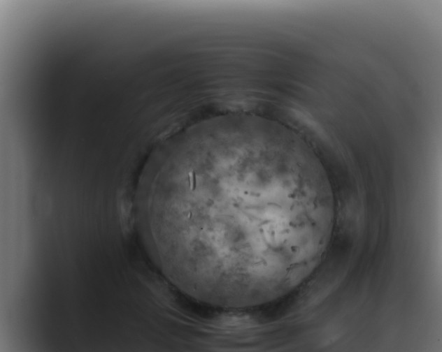 X0000089690749200706281415