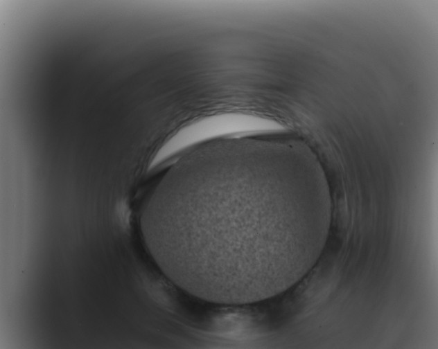 X0000089690750200706281415