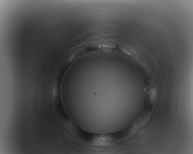 X0000089690754200706281415